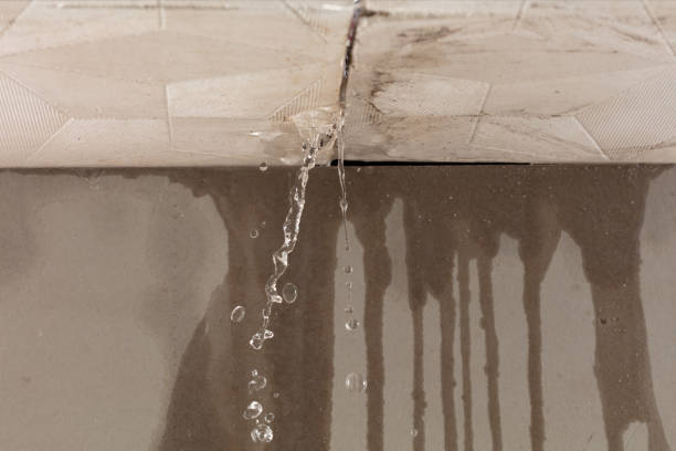 Professional Water Extraction technician working in Dixon, KY